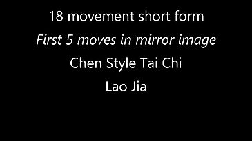 First 5 movements of 18 form in mirror image